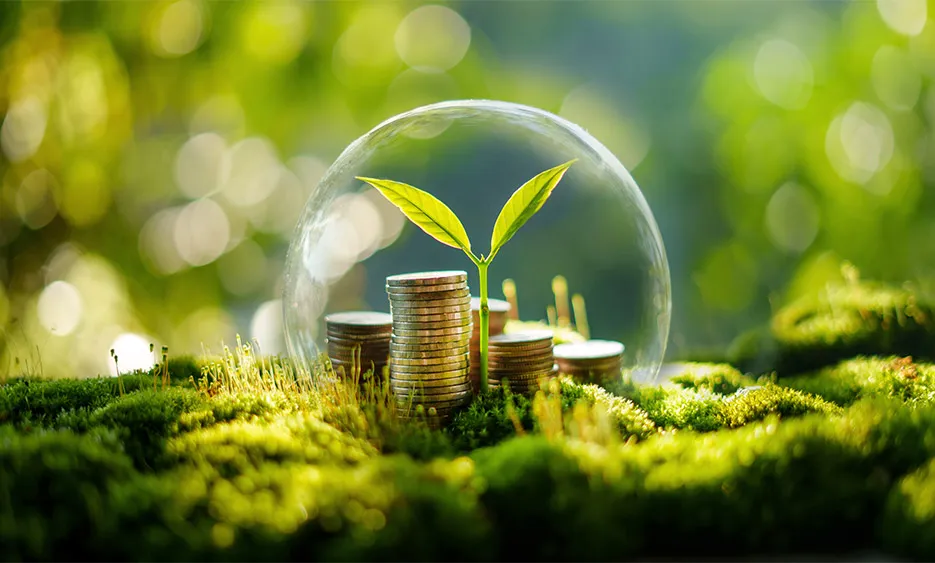 Nachhaltige Geldanlage: Münzen und Pflanze unter Schutzkuppel im Grünen – Green Solutions Gruppe